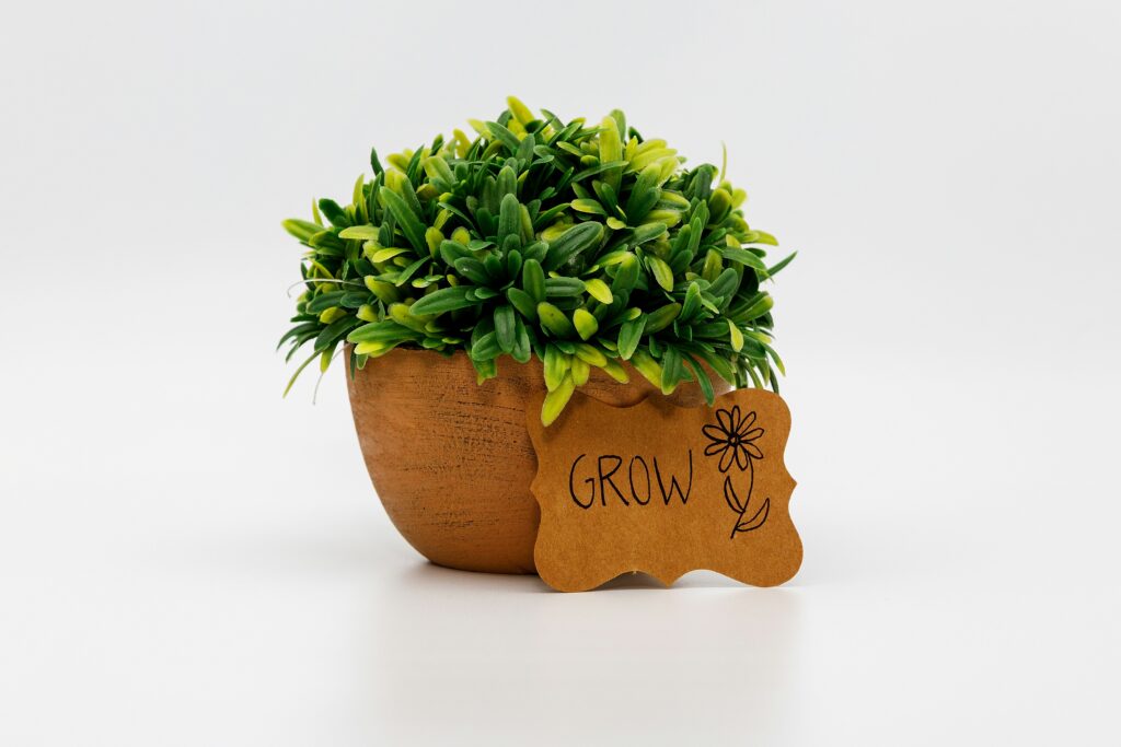 デスクに置かれた小さな観葉植物のある作業スペース